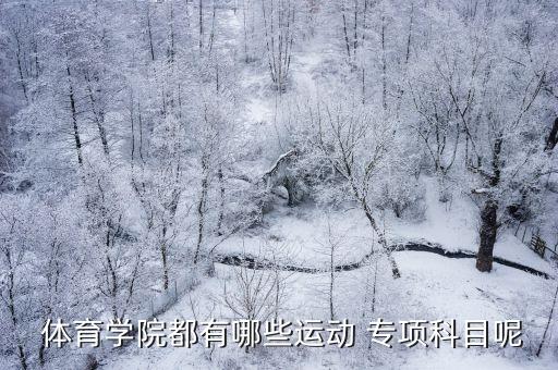  體育學(xué)院都有哪些運動 專項科目呢