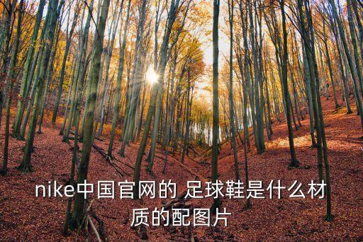 nike中國(guó)官網(wǎng)的 足球鞋是什么材質(zhì)的配圖片