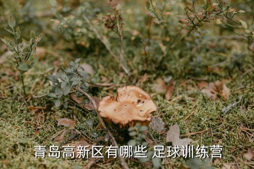  青島高新區(qū)有哪些 足球訓(xùn)練營