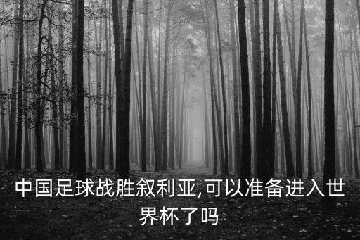 中國(guó)足球戰(zhàn)勝敘利亞,可以準(zhǔn)備進(jìn)入世界杯了嗎
