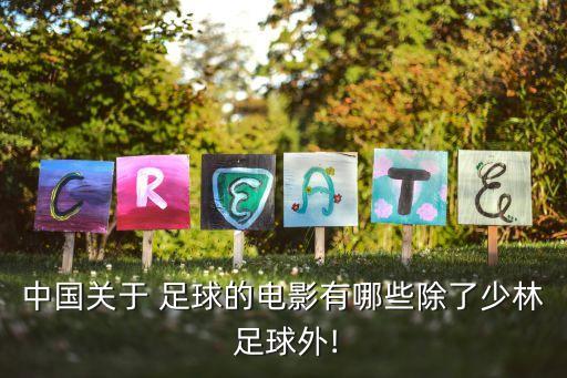 中國關(guān)于 足球的電影有哪些除了少林 足球外!