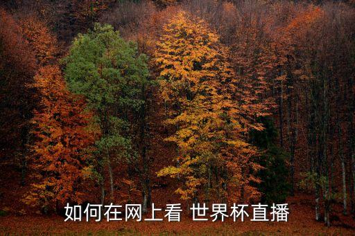 如何在網上看 世界杯直播