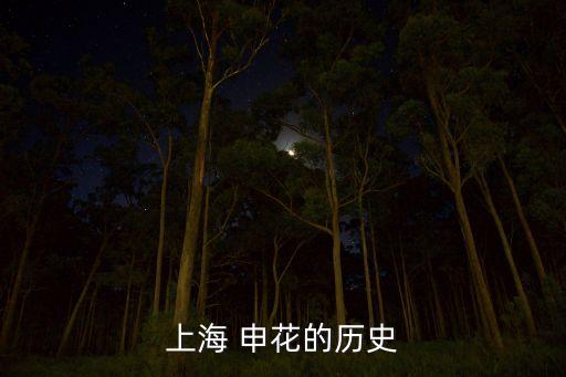 上海 申花的歷史
