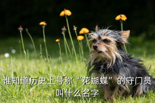誰(shuí)知道歷史上號(hào)稱(chēng)“花蝴蝶”的守門(mén)員叫什么名字