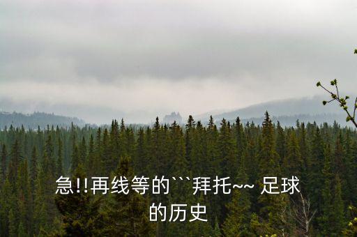 急!!再線(xiàn)等的```拜托~~ 足球的歷史