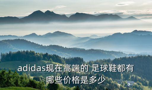 adidas現在高端的 足球鞋都有哪些價格是多少