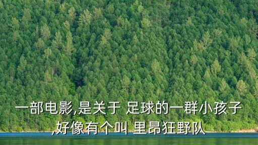 一部電影,是關(guān)于 足球的一群小孩子,好像有個(gè)叫 里昂狂野隊(duì)