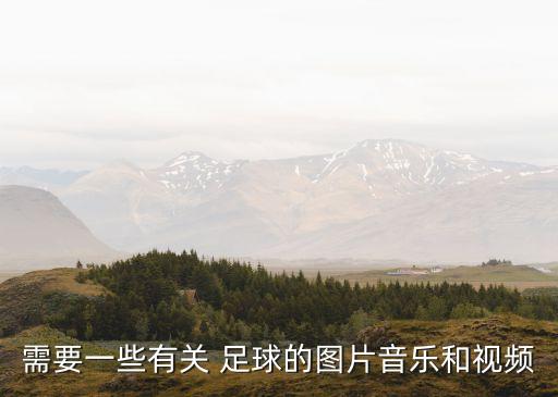 需要一些有關(guān) 足球的圖片音樂和視頻