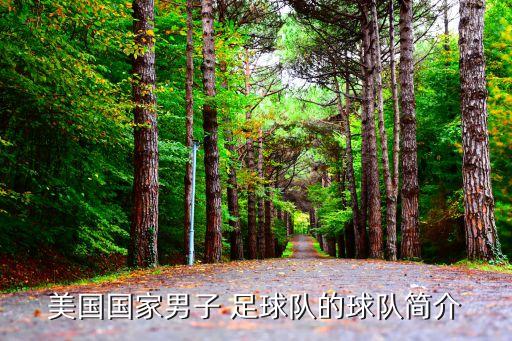 美國國家男子 足球隊的球隊簡介