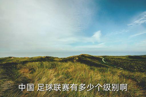 中國(guó) 足球聯(lián)賽有多少個(gè)級(jí)別啊