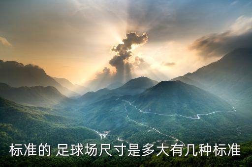 標(biāo)準(zhǔn)的 足球場尺寸是多大有幾種標(biāo)準(zhǔn)