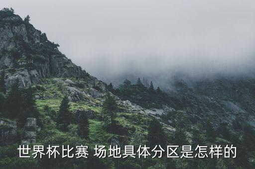 世界杯比賽 場地具體分區(qū)是怎樣的