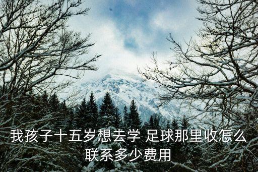 我孩子十五歲想去學(xué) 足球那里收怎么聯(lián)系多少費(fèi)用