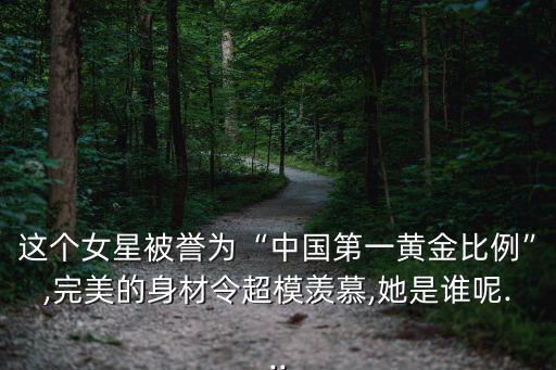 中國足球?qū)氊惻琶駡D