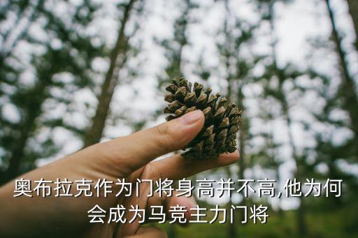 奧布拉克作為門將身高并不高,他為何會(huì)成為馬競(jìng)主力門將