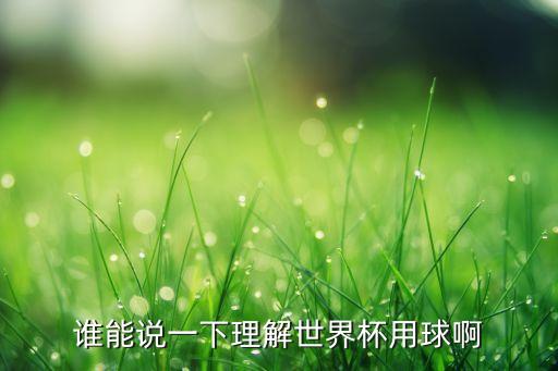 adidas 足球賽事