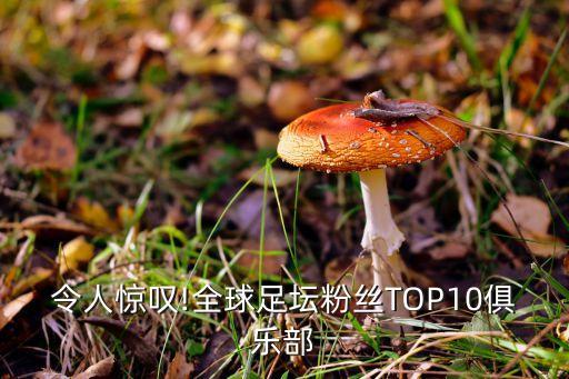 令人驚嘆!全球足壇粉絲TOP10俱樂(lè)部