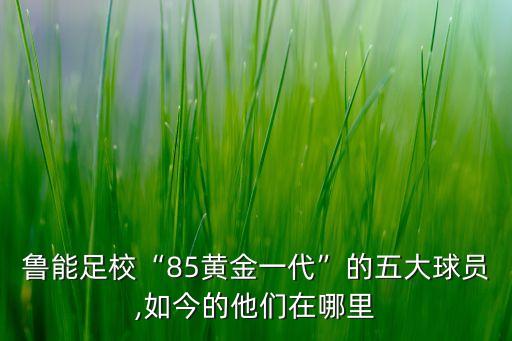 魯能足?！?5黃金一代”的五大球員,如今的他們?cè)谀睦? class=