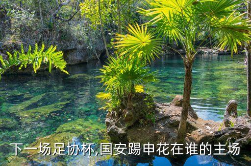 下一場足協(xié)杯,國安踢申花在誰的主場