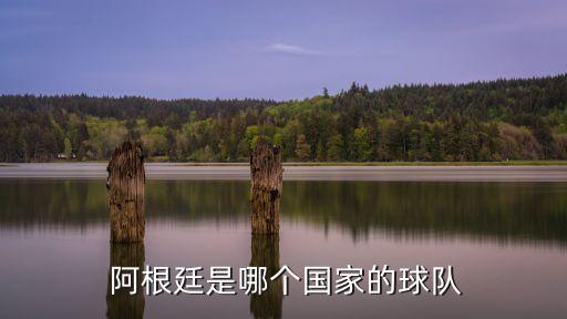  阿根廷是哪個國家的球隊