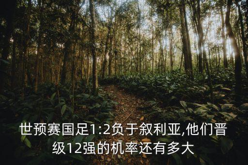 世預(yù)賽國足1:2負于敘利亞,他們晉級12強的機率還有多大