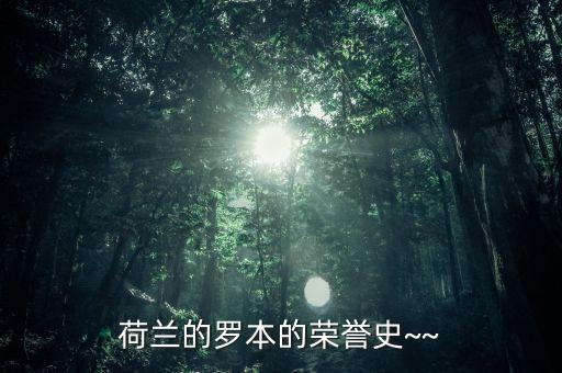 荷蘭的羅本的榮譽(yù)史~~