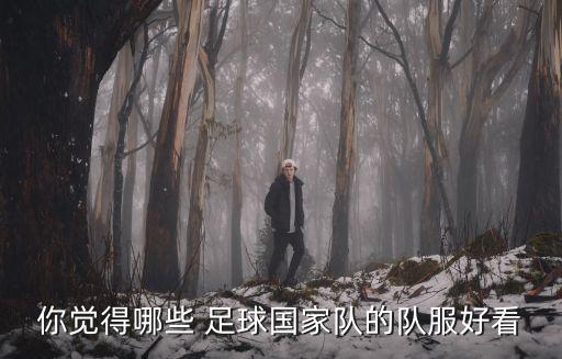 你覺得哪些 足球國家隊的隊服好看