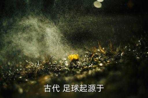戰(zhàn)國(guó)時(shí)期的足球質(zhì)地,足球在戰(zhàn)國(guó)時(shí)期叫什么