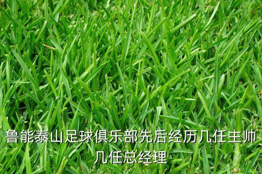 濟(jì)南有沒有職業(yè)足球隊(duì),安徽有沒有職業(yè)足球隊(duì)