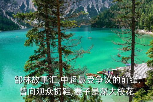  郜林故事匯,中超最受爭議的前鋒,曾向觀眾扔鞋,妻子是深大?；? class=