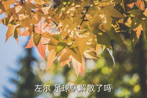 卓爾足球 武漢,武漢卓爾足球學校學費