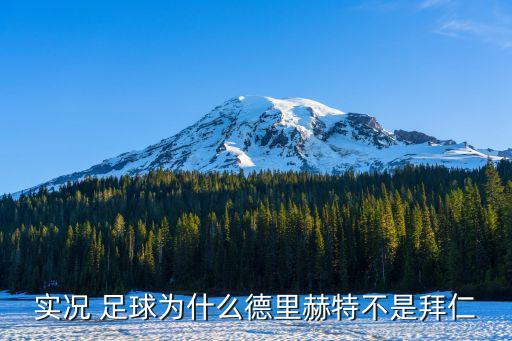 實(shí)況 足球?yàn)槭裁吹吕锖仗夭皇前萑? class=