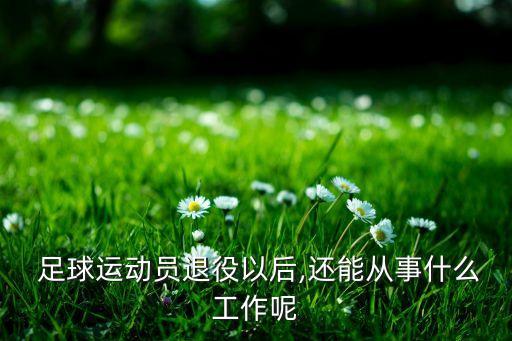 足球運動員退役以后,還能從事什么工作呢