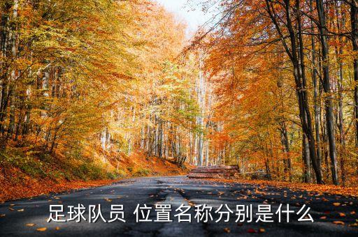  足球隊員 位置名稱分別是什么