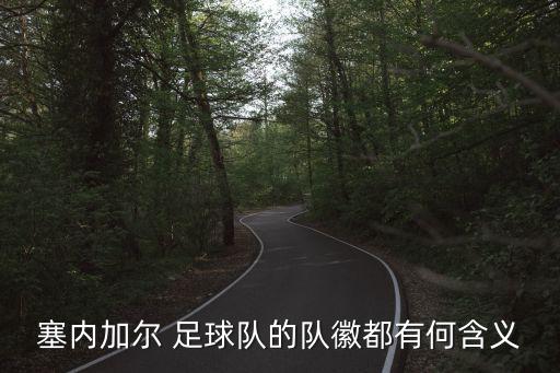 塞內(nèi)加爾 足球隊的隊徽都有何含義