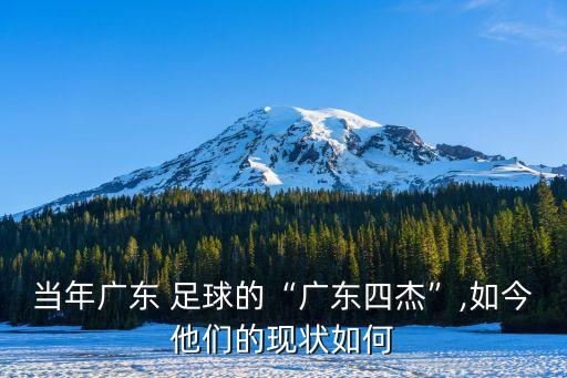 當(dāng)年廣東 足球的“廣東四杰”,如今他們的現(xiàn)狀如何