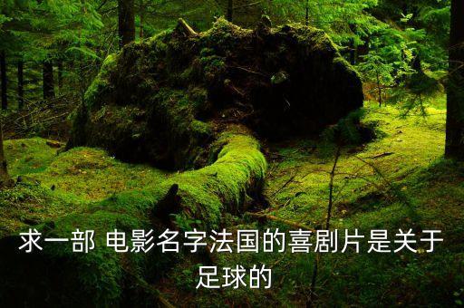 求一部 電影名字法國(guó)的喜劇片是關(guān)于 足球的