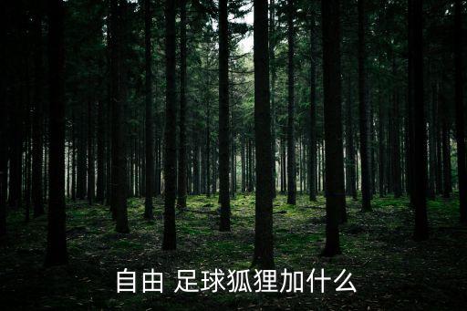  自由 足球狐貍加什么