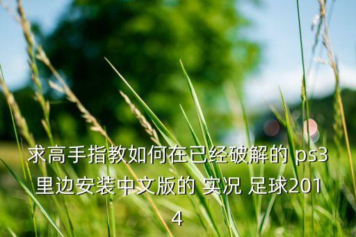 求高手指教如何在已經(jīng)破解的 ps3里邊安裝中文版的 實(shí)況 足球2014