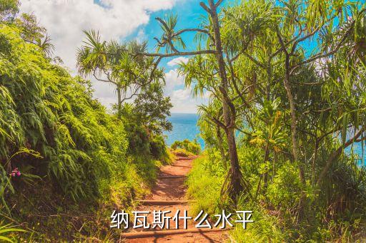 納瓦斯什么水平