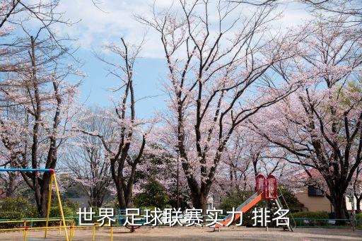  世界 足球聯(lián)賽實(shí)力 排名