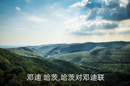  鄧迪 哈茨,哈茨對(duì)鄧迪聯(lián)