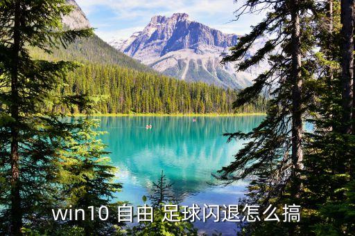 win10 自由 足球閃退怎么搞