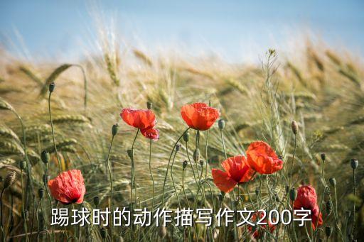 踢球時的動作描寫作文200字