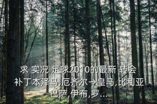實(shí)況足球2010 15-16轉(zhuǎn)會(huì)補(bǔ)丁