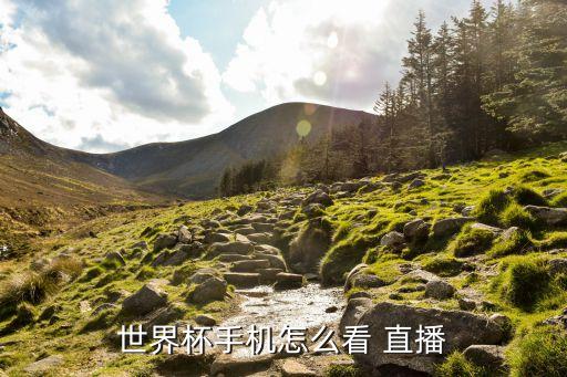 世界杯手機(jī)怎么看 直播