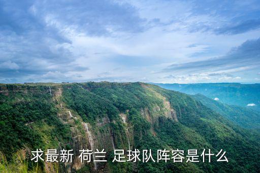 求最新 荷蘭 足球隊陣容是什么