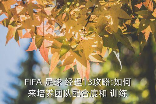FIFA 足球 經(jīng)理13攻略:如何來(lái)培養(yǎng)團(tuán)隊(duì)配合度和 訓(xùn)練