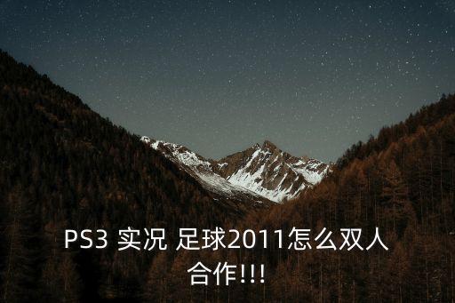 PS3 實(shí)況 足球2011怎么雙人合作!!!