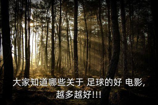 搞笑足球電影,足球電影勵(lì)志電影